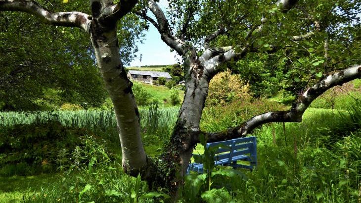 The Dovecote, two bedrooms sleeping 3 with pretty garden, dog friendly - Photo 10