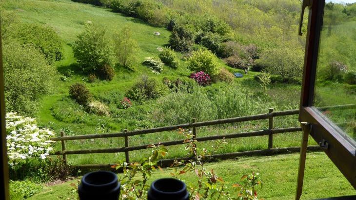 Honeysuckle, dog friendly couples' cottage in South Devon - Photo 11