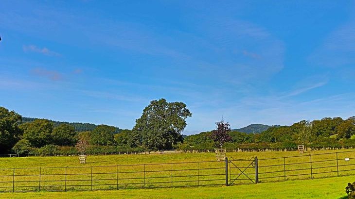 Luxury House, 5* Gold rated,sleeps 10+1 with a large garden, downstairs bedroom and wet room,  and a shared games room - Photo 30