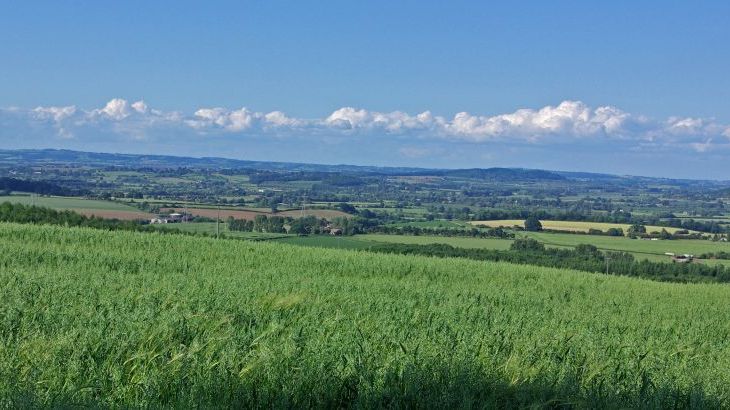 Luxury House, 5* Gold rated,sleeps 10+1 with a large garden, downstairs bedroom and wet room,  and a shared games room - Photo 42