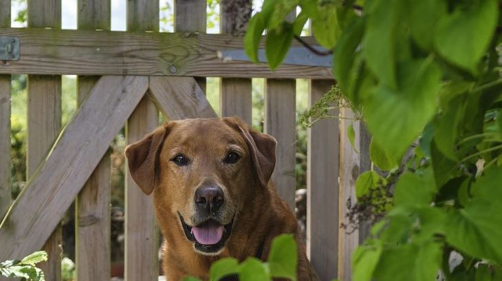 Sleeps 2, Romantic, Modern, Luxurious Cottage with garden, WiFi and Amazing Views - Photo 44