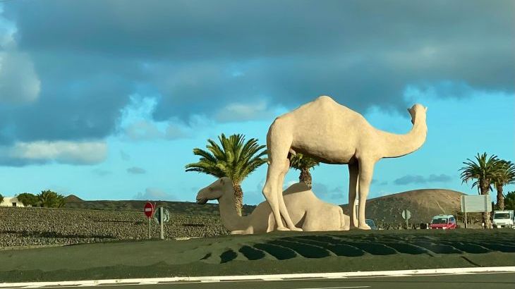 Villa Sofia - Photo 18