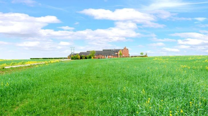 The Farm Collection - Photo 18