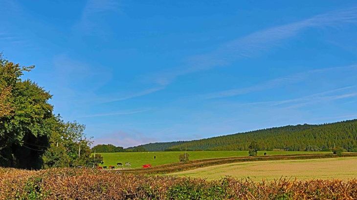 Field Barn sleeps 2, with a private Steam Room and AirCon! - Photo 7