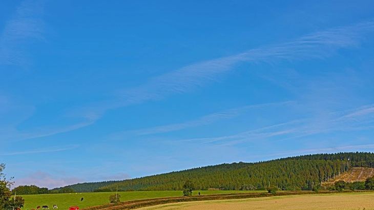 Field Barn sleeps 2, with a private Steam Room and AirCon! - Photo 9