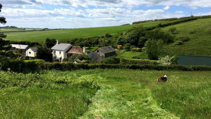 Rafters, 2 bedrooms, sleeps 4, level enclosed garden, dog friendly - Photo 1