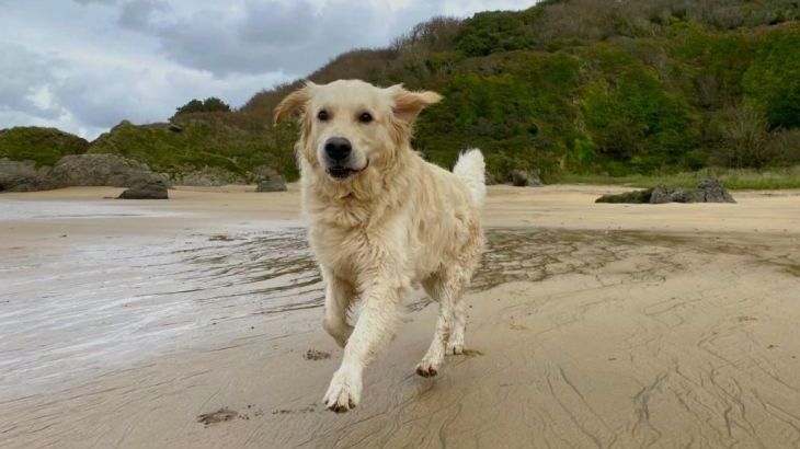 Rafters, 2 bedrooms, sleeps 4, level enclosed garden, dog friendly - Photo 7