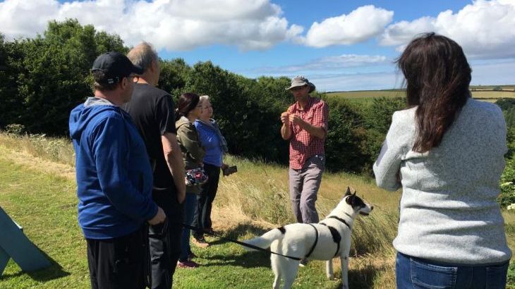 Rafters, 2 bedrooms, sleeps 4, level enclosed garden, dog friendly - Photo 8