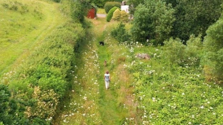 Rafters, 2 bedrooms, sleeps 4, level enclosed garden, dog friendly - Photo 11