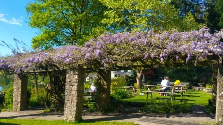 Symonds Yat Lodge - Photo 3