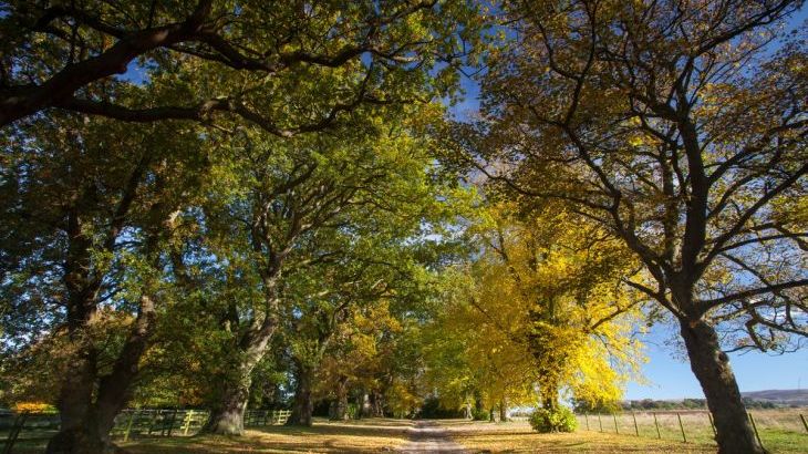 Heads Nook Hall Cottage - Photo 10