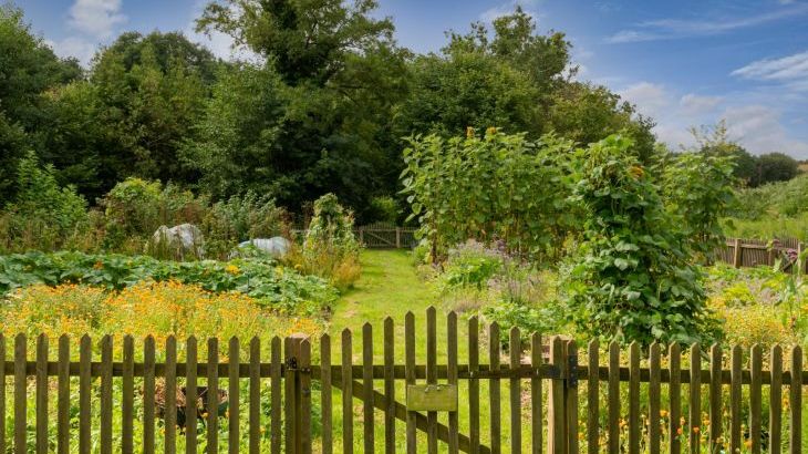 Mill Cottage - Photo 10