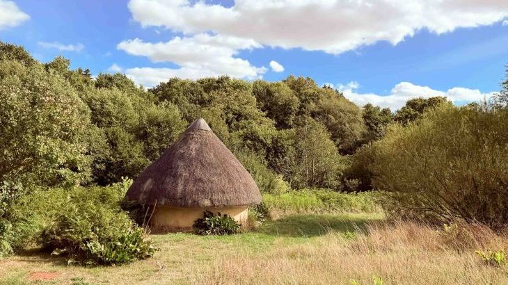 Mill Cottage - Photo 12