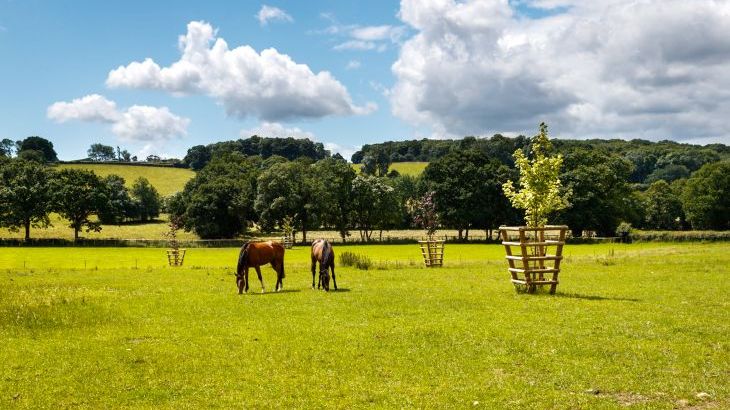Sleeps 7+1, 5* Gold, Lovely clean Cottage in rural location with shared games room  - Photo 15