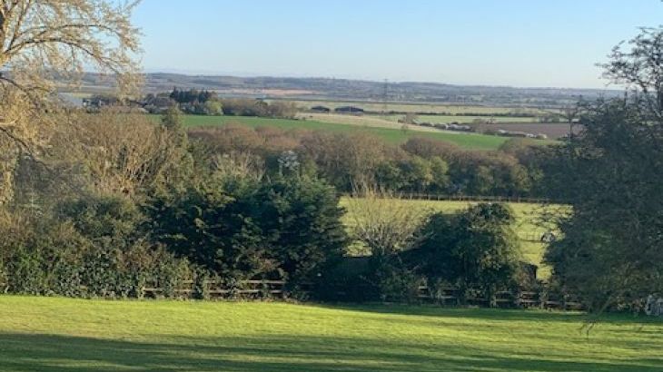 Petite Fleur - Photo 17