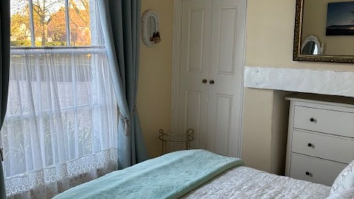 Petite Fleur - Photo 9