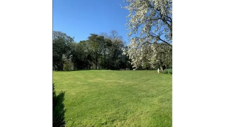 Petite Fleur - Photo 15