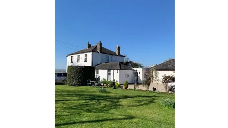 Petite Fleur - Photo 1