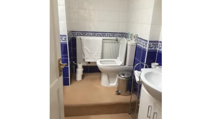 Petite Fleur - Photo 13