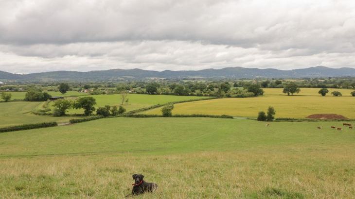 Beesoni Holiday Barn - Photo 28