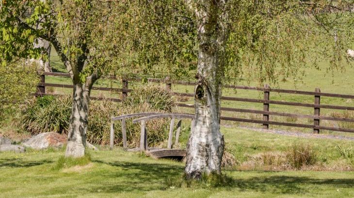Oakwood Rural Cottage, North Wales - Photo 15