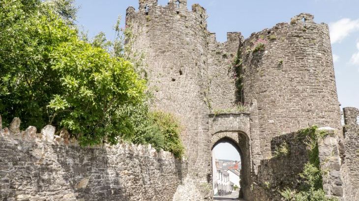 Oakwood Rural Cottage, North Wales - Photo 18