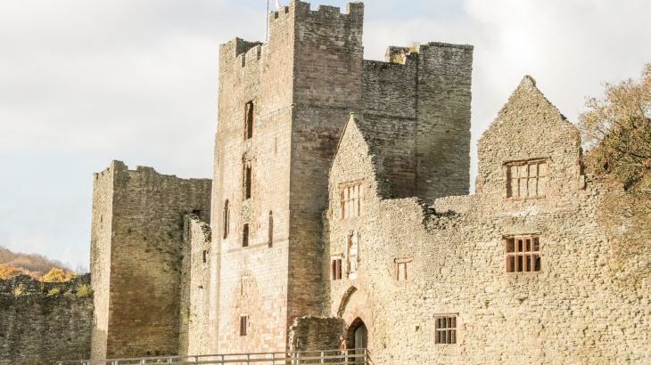 Lea Farm House - Photo 57