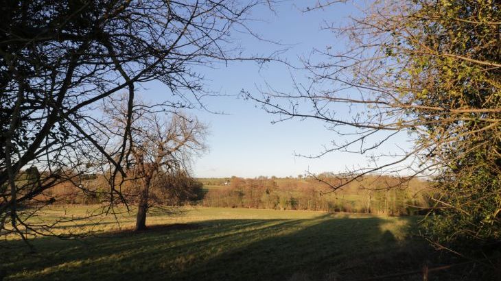 Lower Tundridge Cottage - Photo 38