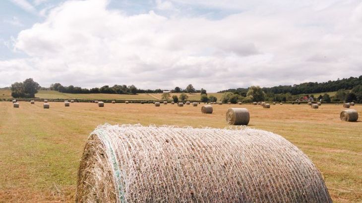 Lower Tundridge Cottage - Photo 35
