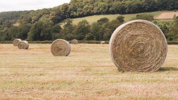 Lower Tundridge Cottage - Photo 36