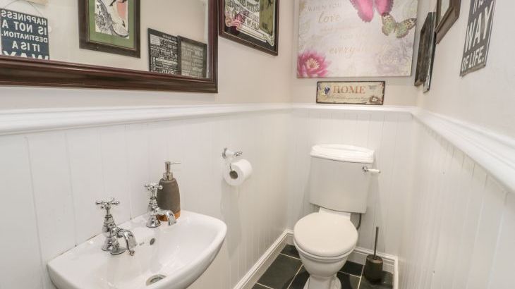 Plas Mawr - Photo 11