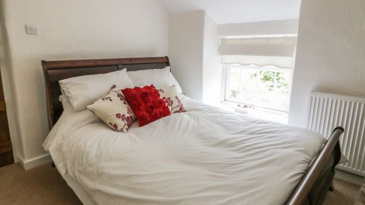 Plas Mawr - Photo 15