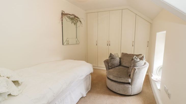 Plas Mawr - Photo 19