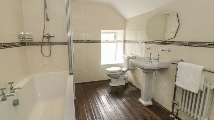 Plas Mawr - Photo 20