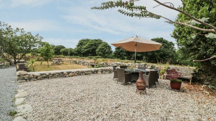 Plas Mawr - Photo 28