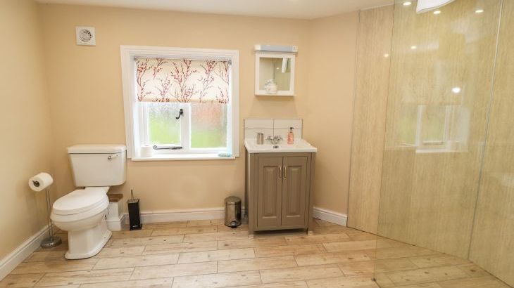 Rhandregynwen Hall - Photo 46