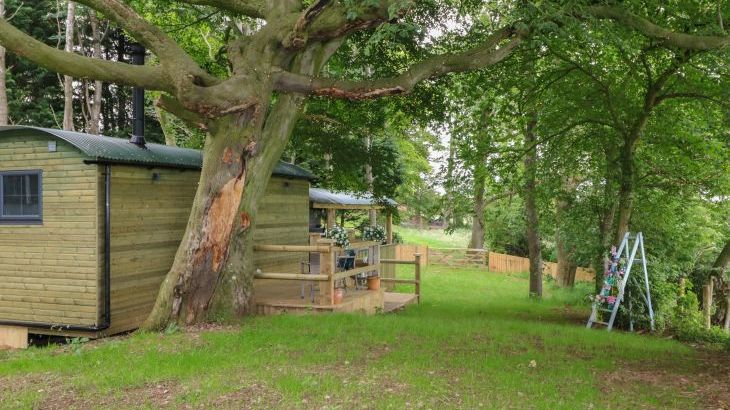 High Rigg Shepherd's Hideaway - Main Photo