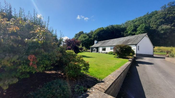 Dale View - Photo 16