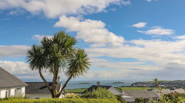 Trem Ynys - Photo 50