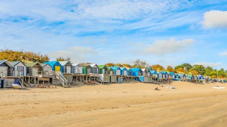 Trem Ynys - Photo 58