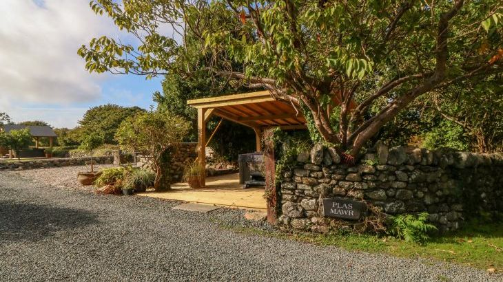 Plas Mawr - Photo 22