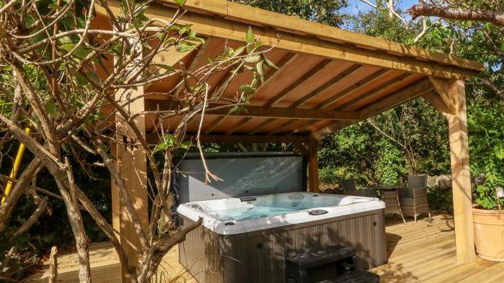 Plas Mawr - Photo 23