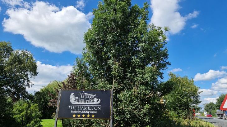 The Studio - Photo 31