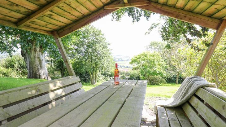 Penuwch Fach - Photo 40