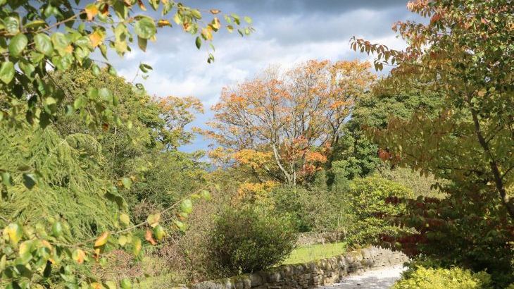 Moorlands Manor - Photo 37