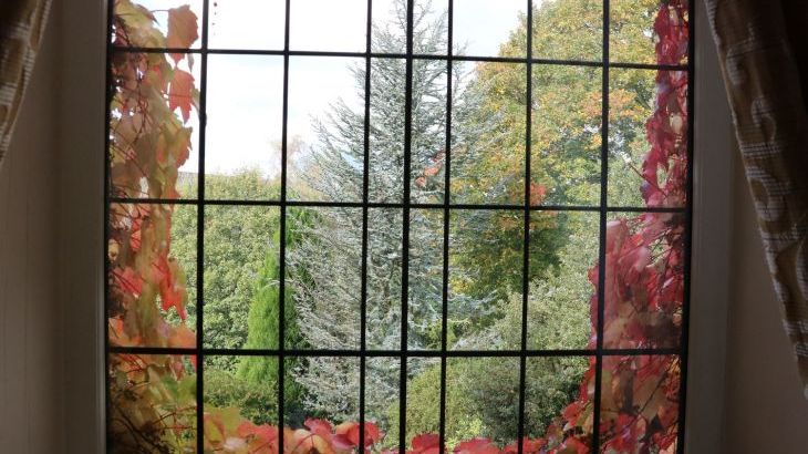 Moorlands Manor - Photo 38