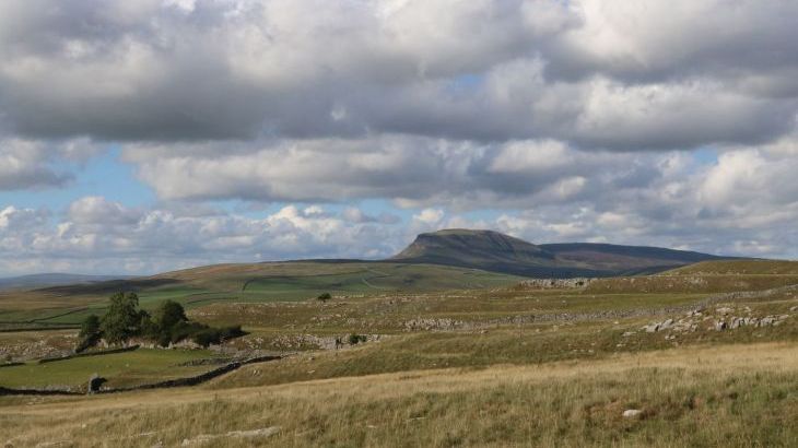 Moorlands Manor - Photo 39