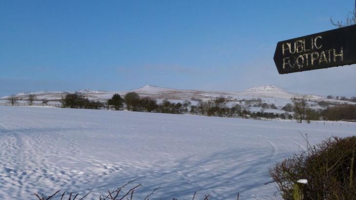 Moorlands Manor - Photo 44