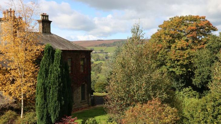 Moorlands Manor - Photo 47