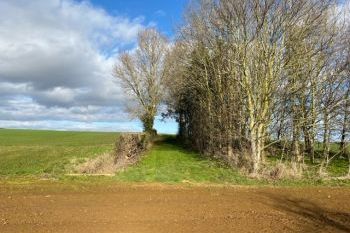 Greens Norton House, Northamptonshire